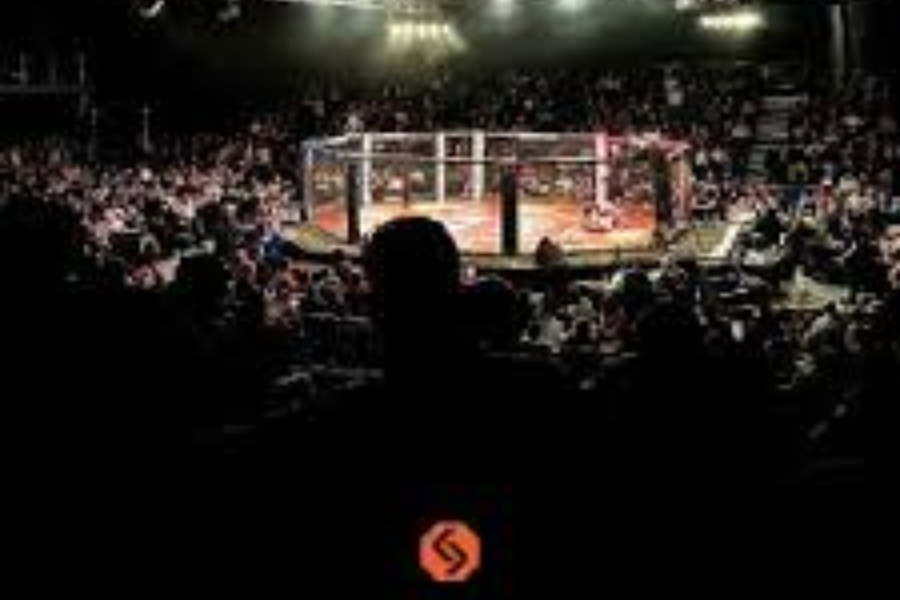 Country Christmas (900 X 600 Px) (4)