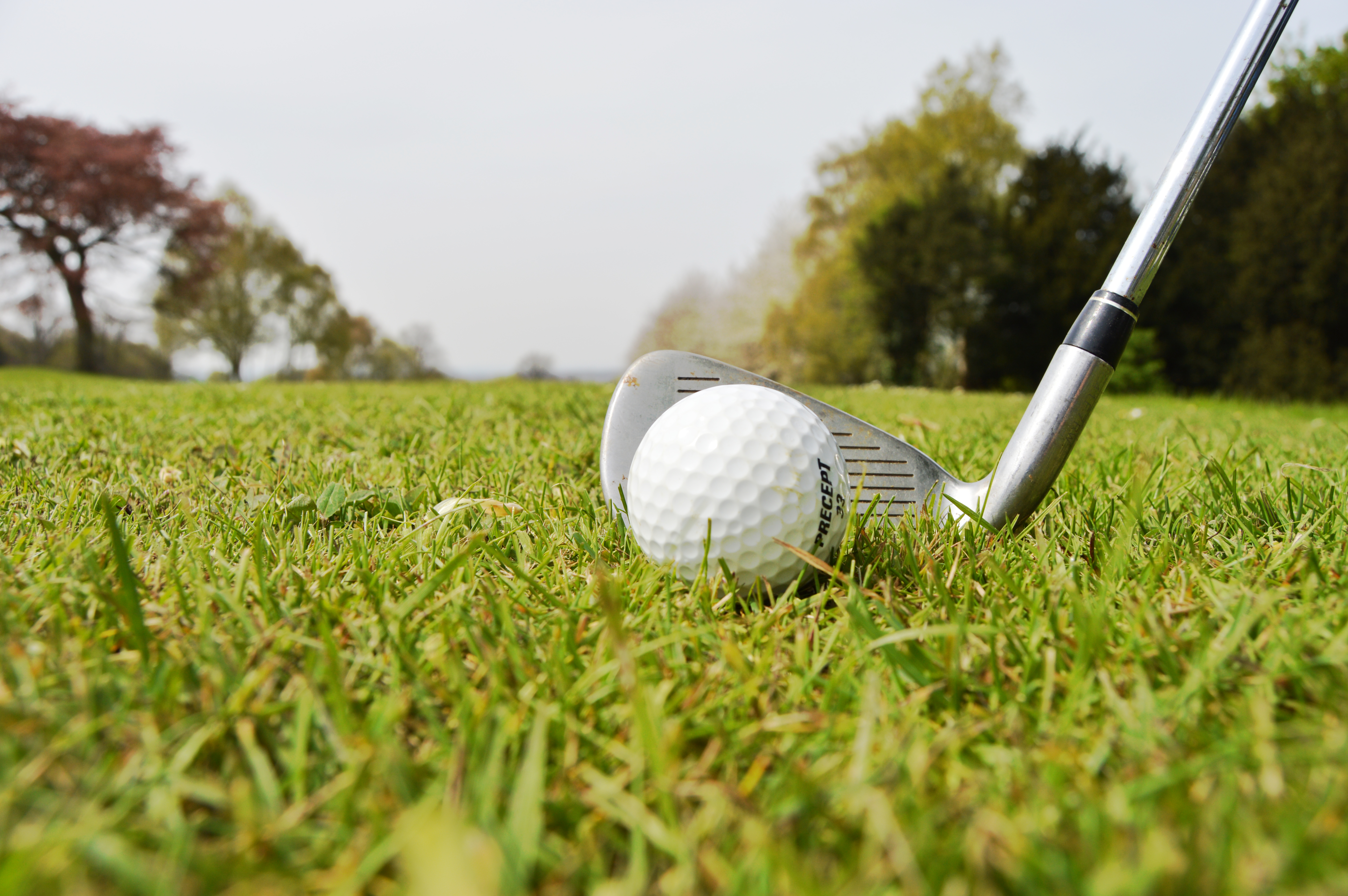 Golf ball and golf club